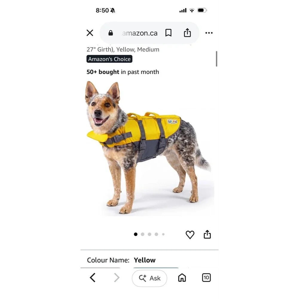 Outward Hound Dog Life Jacket medium